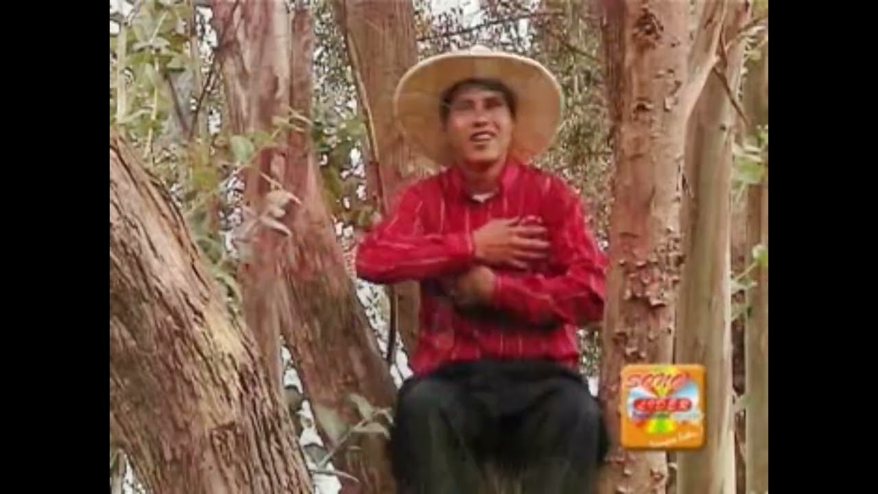 Banda Tipica Los Picaflores del Amor Santa Rosa Huasmin _ Con Una Mirada y un Besito_ Video Official