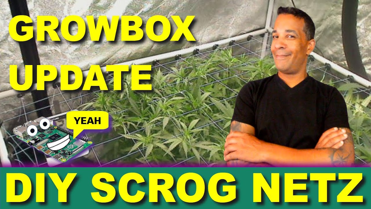 🪴GROWBOX UPDATE: SCROG Netz DIY