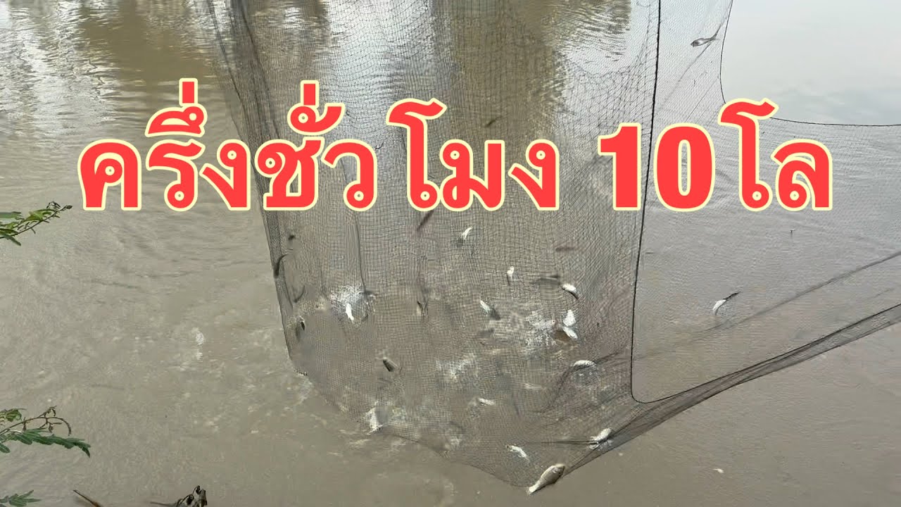 ยกยอ 119 ครึ่งชั่วโมง 10โล  Sukhothai style