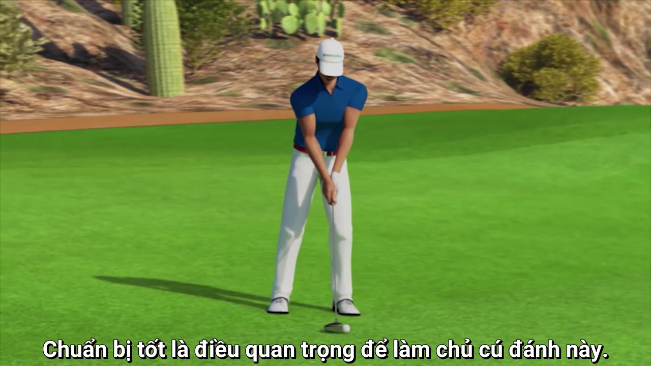 Sử dụng gậy gỗ( Fairway Wood)