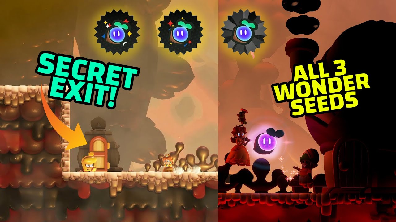Hot-Hot Hot Guide All 3 Wonder Seeds & Coins & Secret Exits Location (2023)
