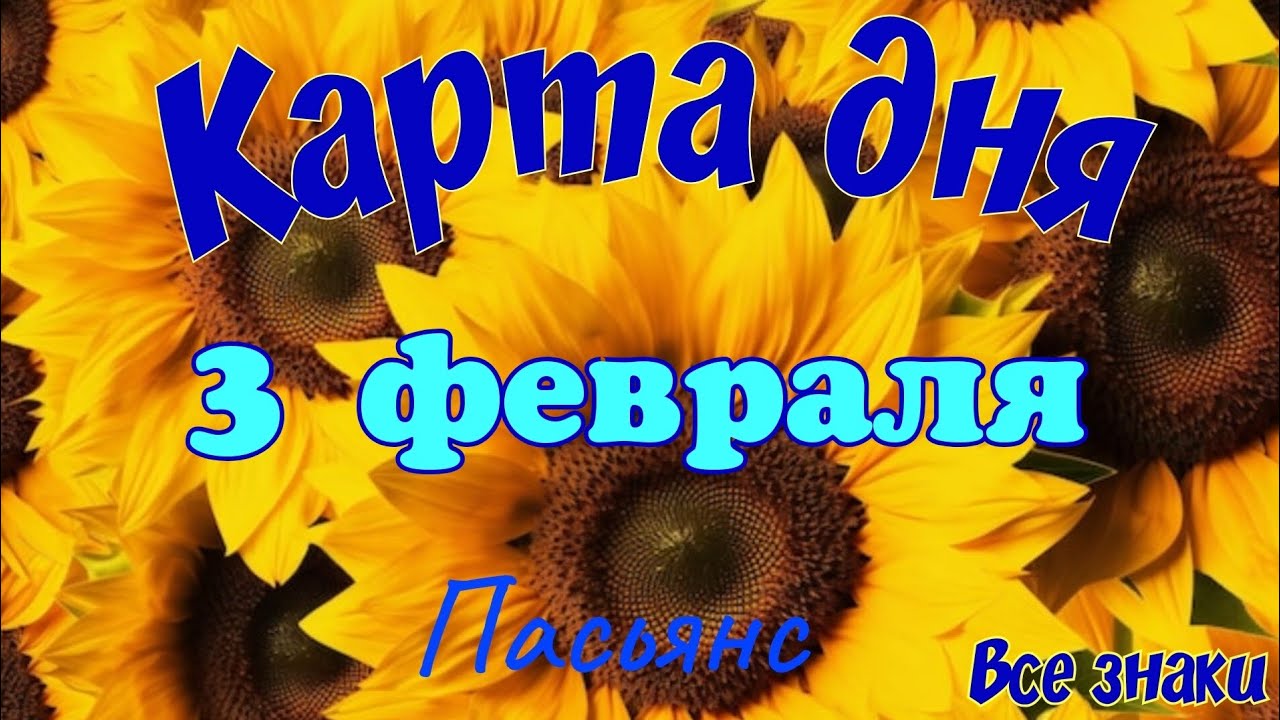 Карта дня ❄️3 февраля 🎄☃️Пасьянс. Тайм-код в описании 🦢