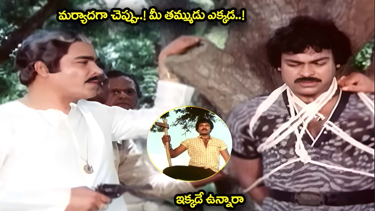 మర్యాదగా చెప్పు..! మీ తమ్ముడు ఎక్కడ..! ఇక్కడే ఉన్నారా | Chiranjeevi Mass Action Scenes