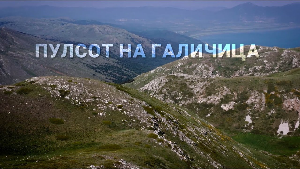 Пулсот на Галичица: Љубов испишана во истражувањето и овековечена во природата