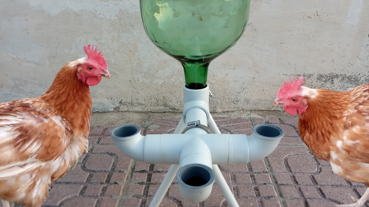 Como hacer un bebedero de PVC para Gallinas y pollos