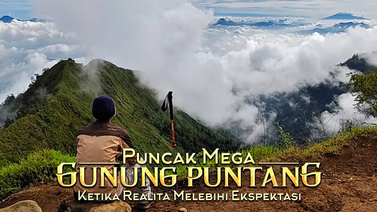 Puncak Mega Gunung Puntang Via PGPI || Menikmati Kopi Puntang