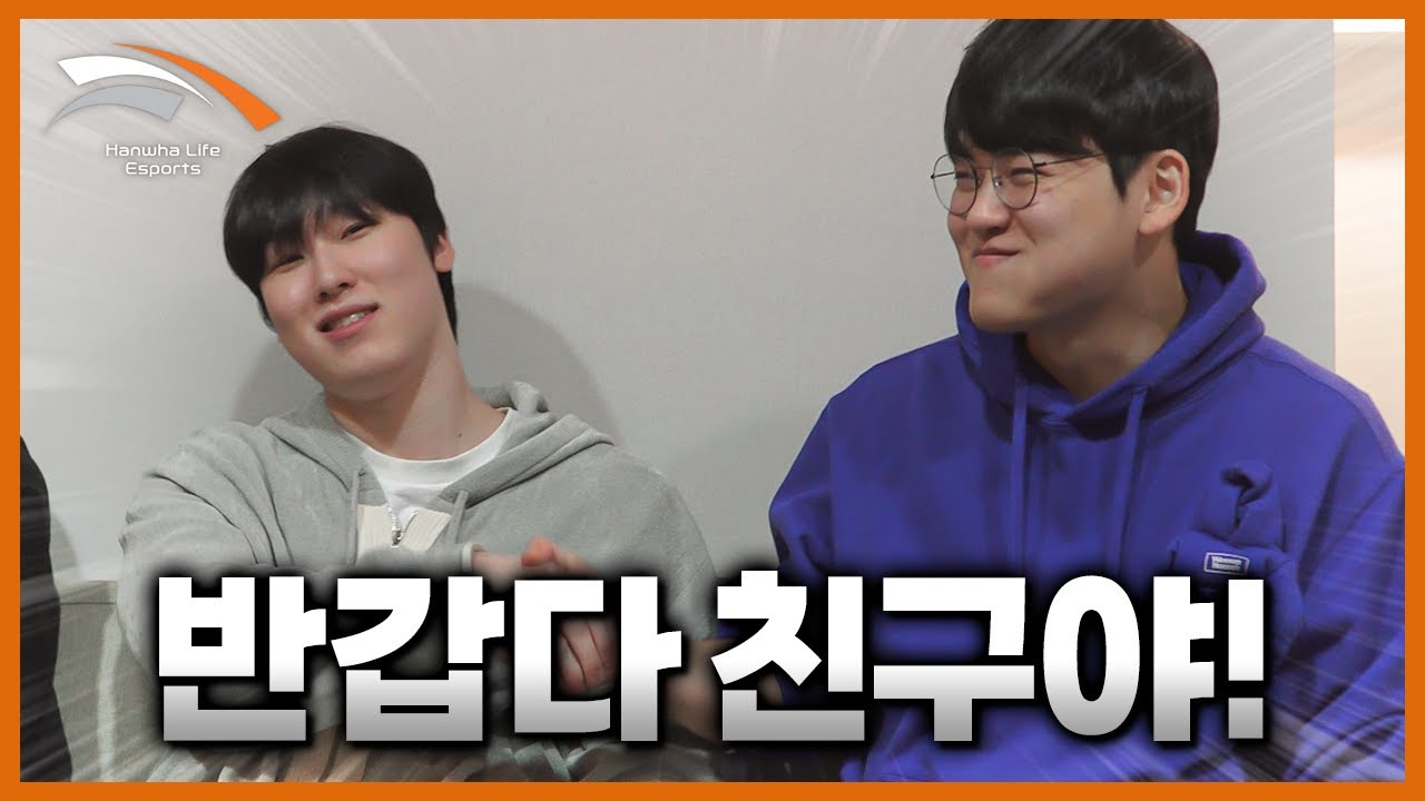 내향인은 시청에 주의하세요 | 2026 HLE Q&A