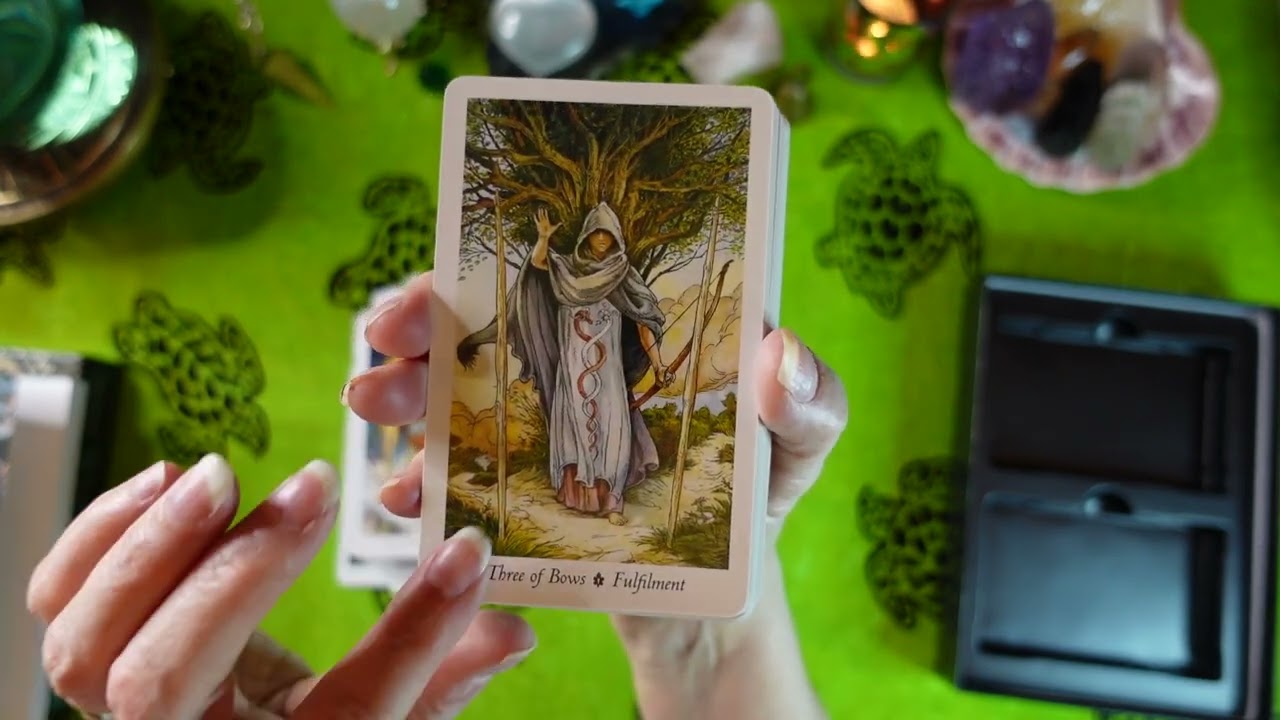 THE WILDWOOD TAROT - Deck Review - WHEREIN WISDOM RESIDES - EMBARK ON A MYSTICAL JOURNEY FOR ANSWERS