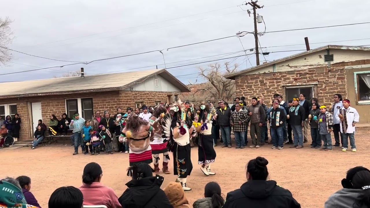 Munqap buffalos 7 Jan. 2024