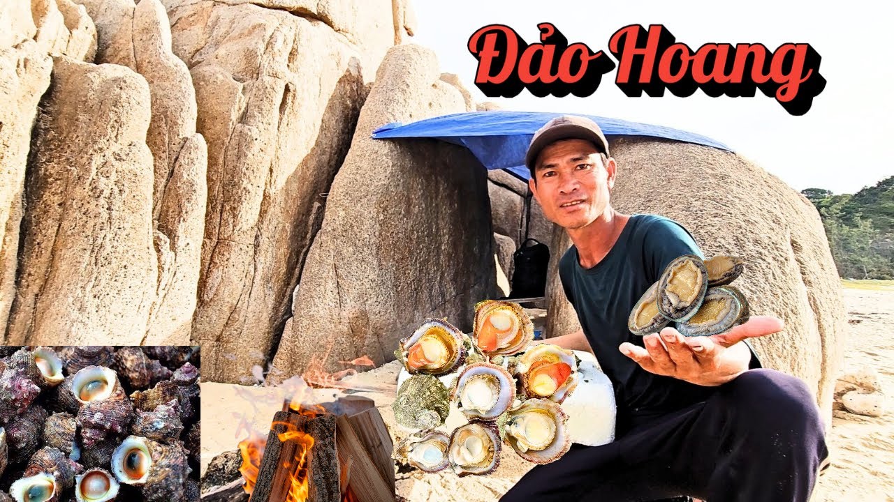 Thử Thách Cắm Trại Sinh Tồn Nơi Hoang Dã - Sinh Tồn Và Săn Bắt Hải Sản Trên Đảo Hoang