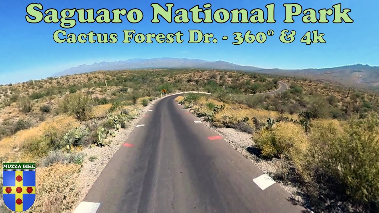 Saguaro National Park - Cactus Forest Dr., 360º & 4k