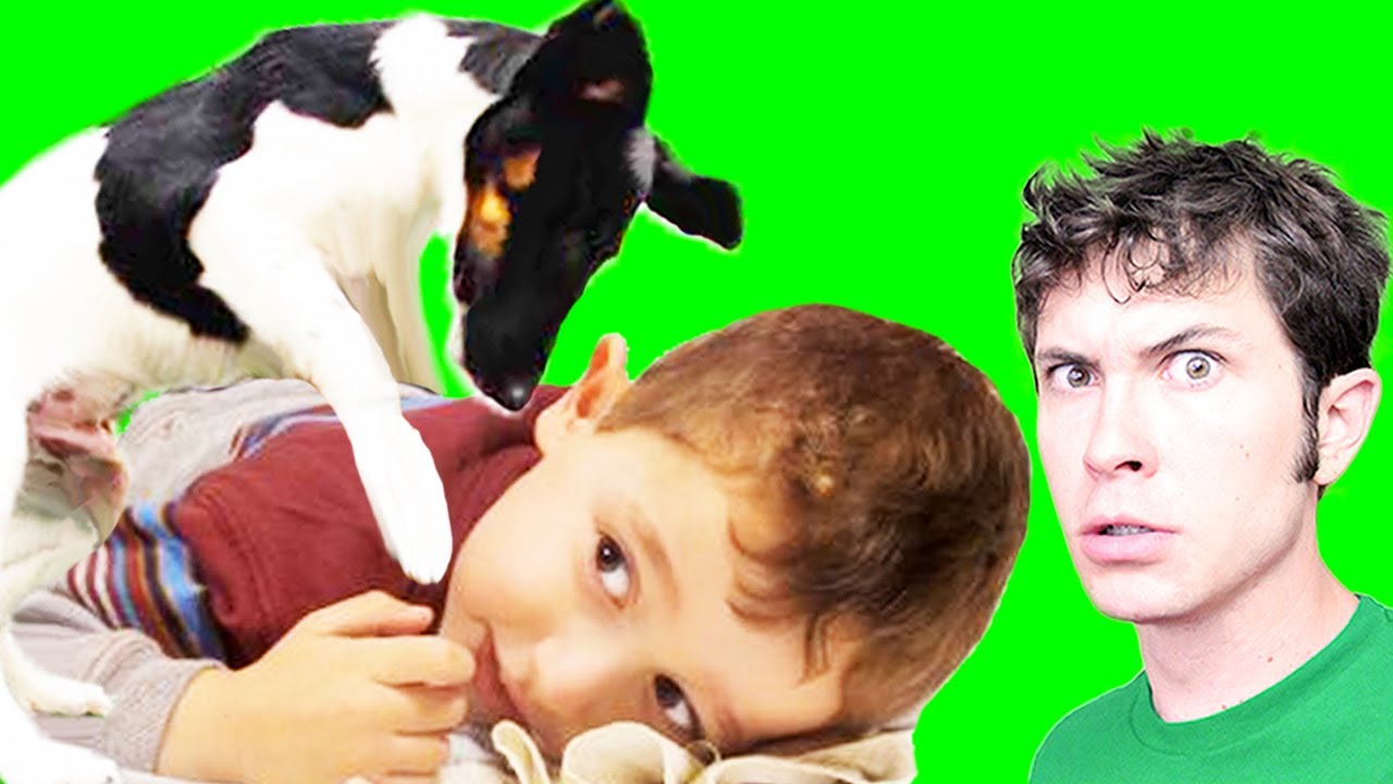 PUPPY TACKLE