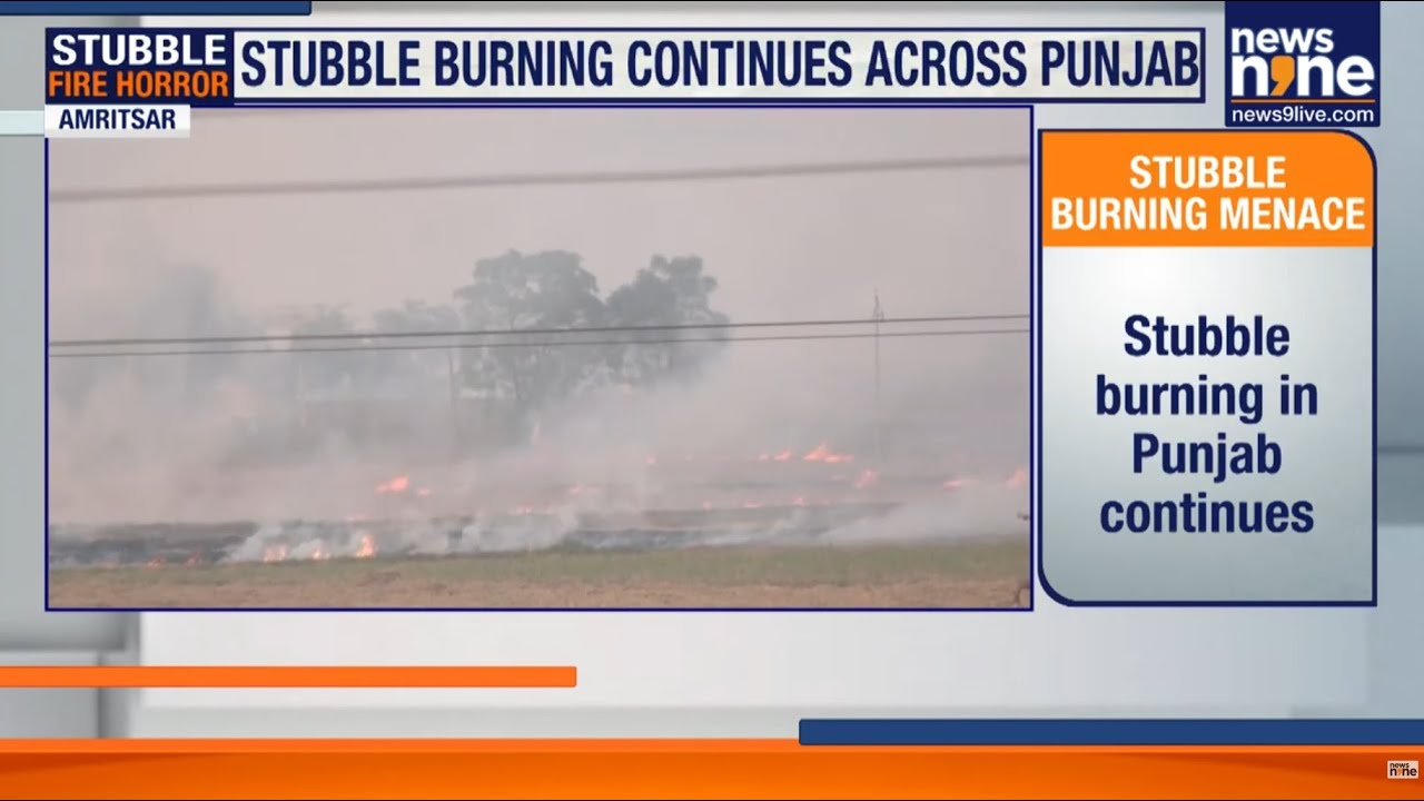 Delhi Air Quality Alert: Stubble Burning Impact Drops, But Experts Warn of Rising Pollution | News9