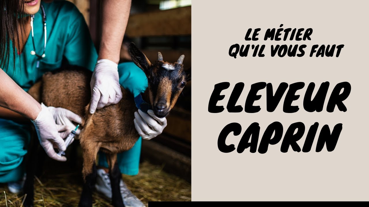 Eleveur Caprin