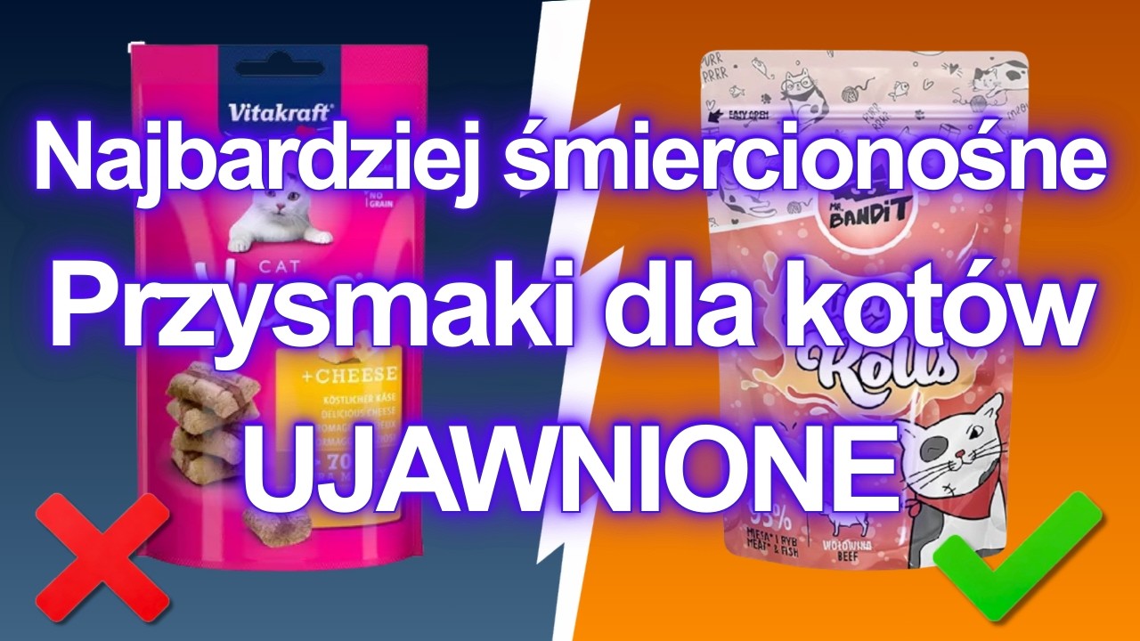 10 mokrych karm dla kotów, których MUSISZ UNIKAĆ ZA WSZELKĄ CENĘ (i kilka BEZPIECZNYCH)