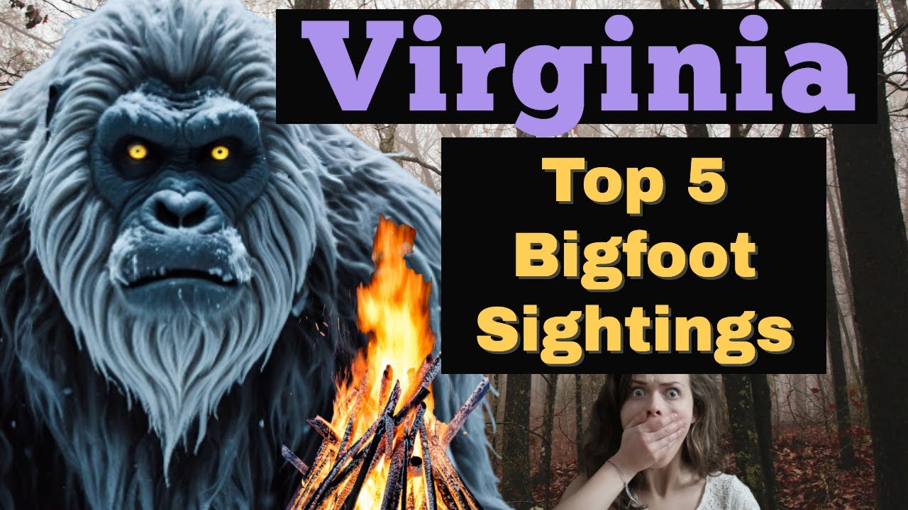 Virginia Bigfoot Sightings -Top 5 ! Blue Ridge Mountains, Shenandoah are Cryptid Hotspots
