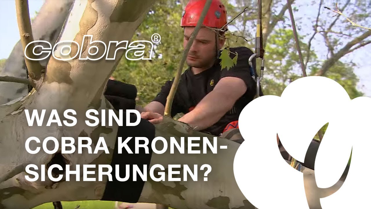 Was sind cobra® Kronensicherungen? (German)