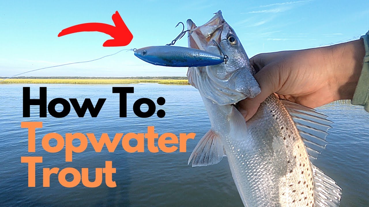 How To Catch Speckled Trout On Topwater - Rapala Skitter Walk Review