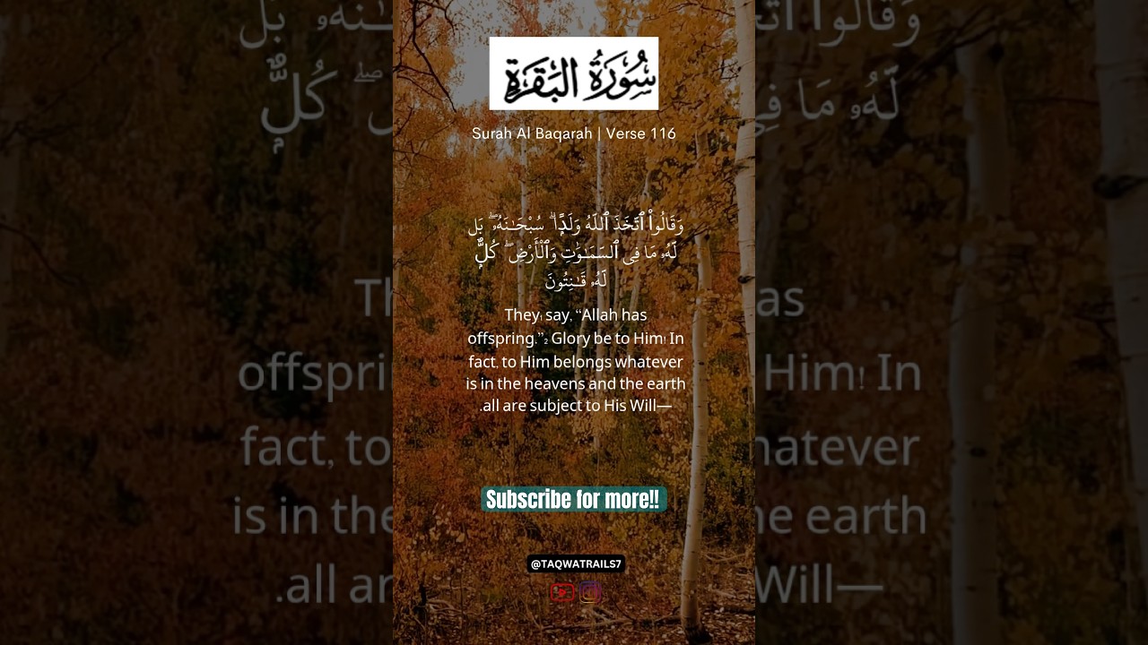 Surah Baqarah | Verse 116| Powerful Quran Recitation| 123/6536 #shorts #shortsfeed #zarooratrishta