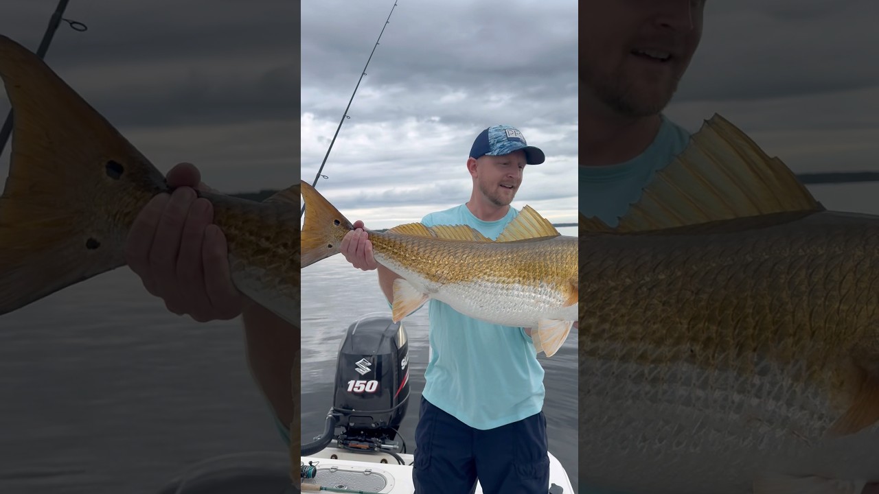 Hooking Huge Reds in New Bern's Neuse River &ndash; Epic Short Catch!