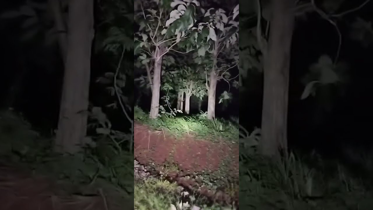 KETEMU SOSOK NAIK MOTOR