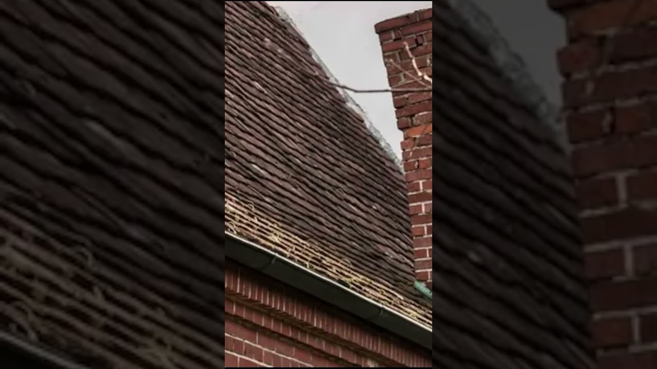 Witches Crook: #creepy #fun  #halloween #witch #superstition #chimney