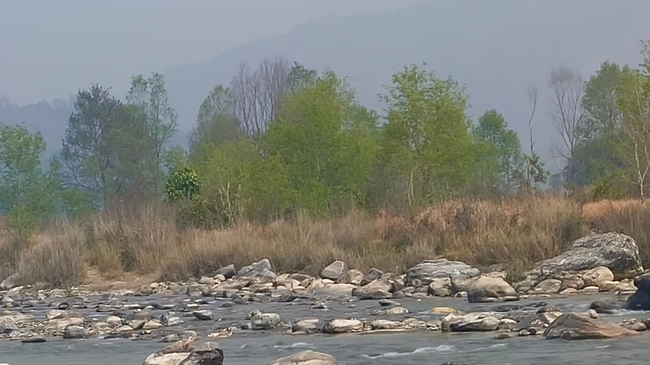 Rainas को डाँडा–काँडाबाट Live 🌄 | प्रकृतिको आवाज, गाउँको