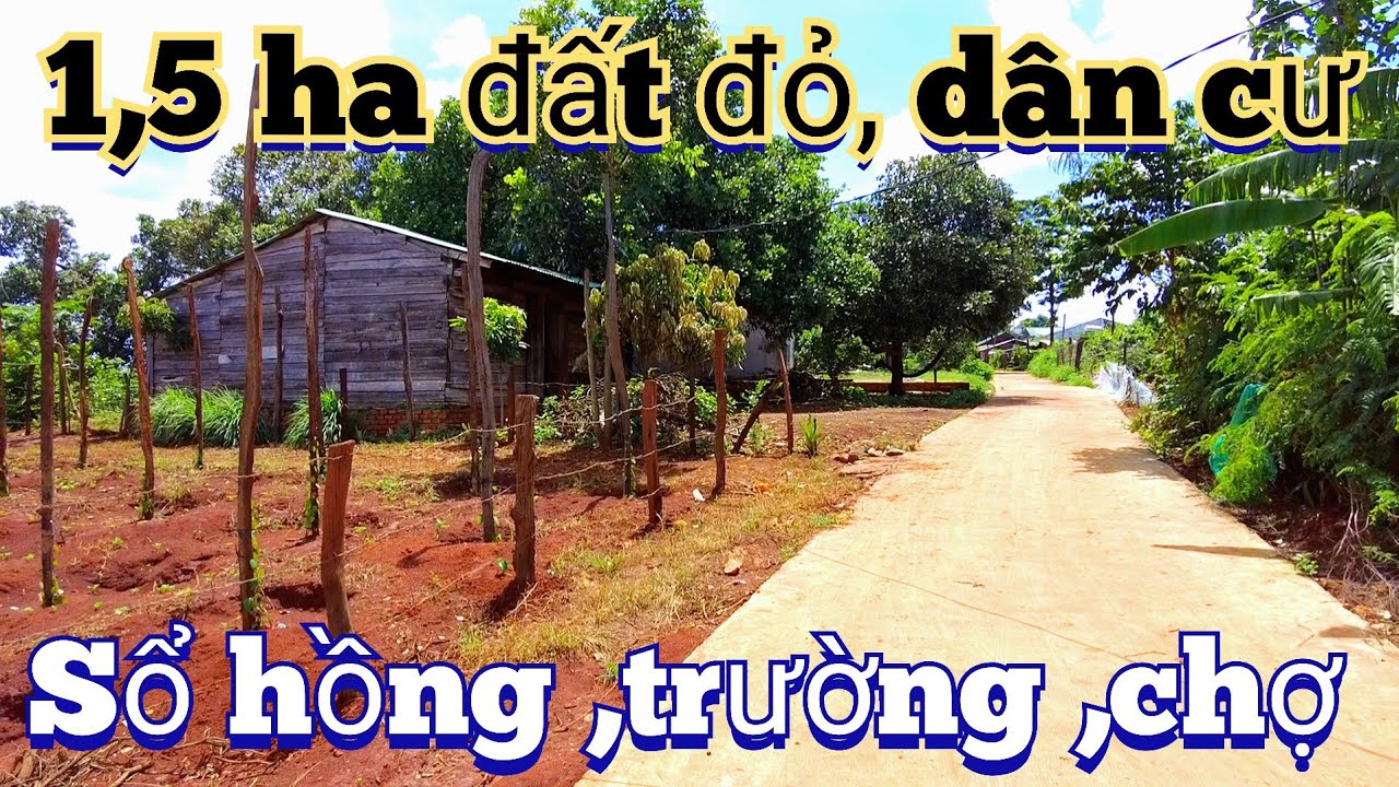 1,5 ha đất đỏ ba zan sổ hồng khu dân cư trường chợ công chứng luôn giá thơm như mít chỉ  1,1 tỷ