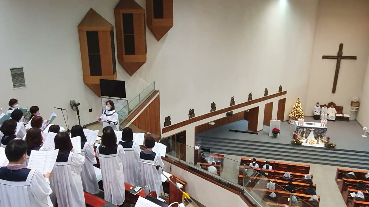 화답송(주님 성탄 대축일 밤미사 /Fr.박원주 작곡)