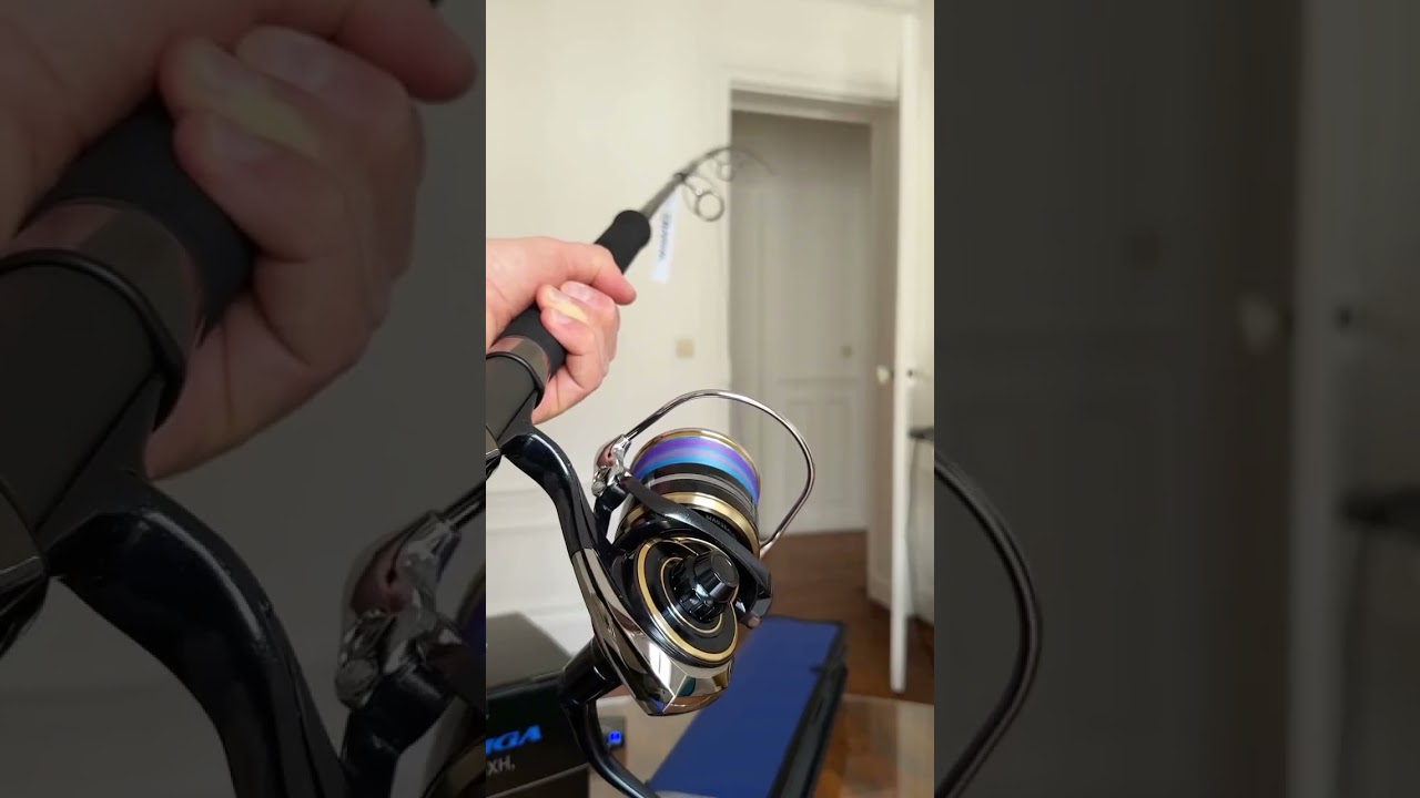 LISTEN 🎤🫠 1, 2 ou 3 !? 1 - BANAX SANG-EO 233 H ROBUST DRAGON X IONIX 3500 2 - DAIWA Saltiga