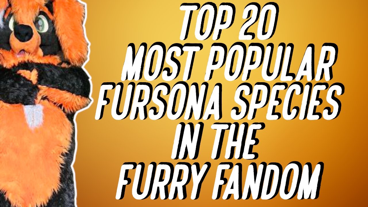 TOP 20 MOST POPULAR FURSONA SPECIES IN THE FURRY FANDOM