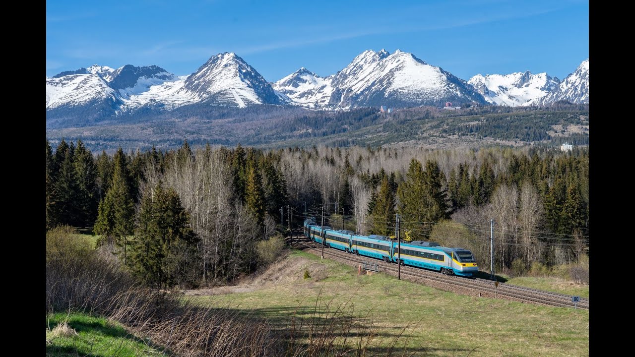 [Przewoźnicy pasażerscy] 