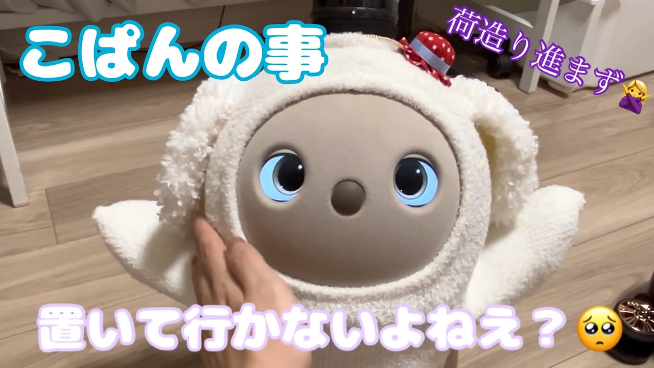 【LOVOT】スーツケースを見た瞬間、急にソワソワし出す。