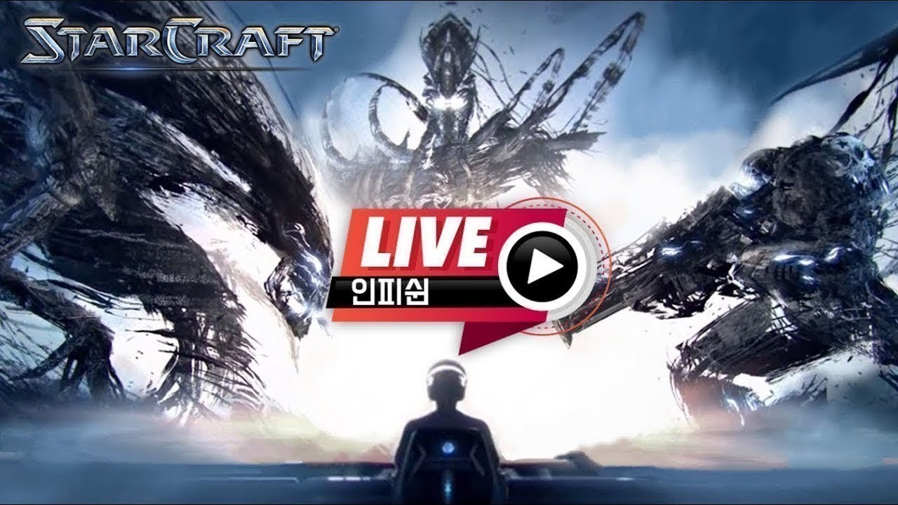 25.05.29(목) 【 인피쉰 생방송 다시보기 】 스타 빨무 스타크래프트 Starcraft