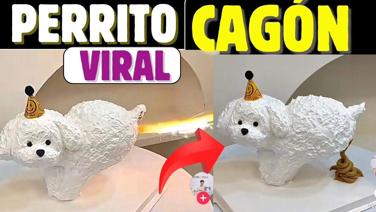 PERRITO CAG&Oacute;N VIRAL!!! EXPECTATIVA/REALIDAD