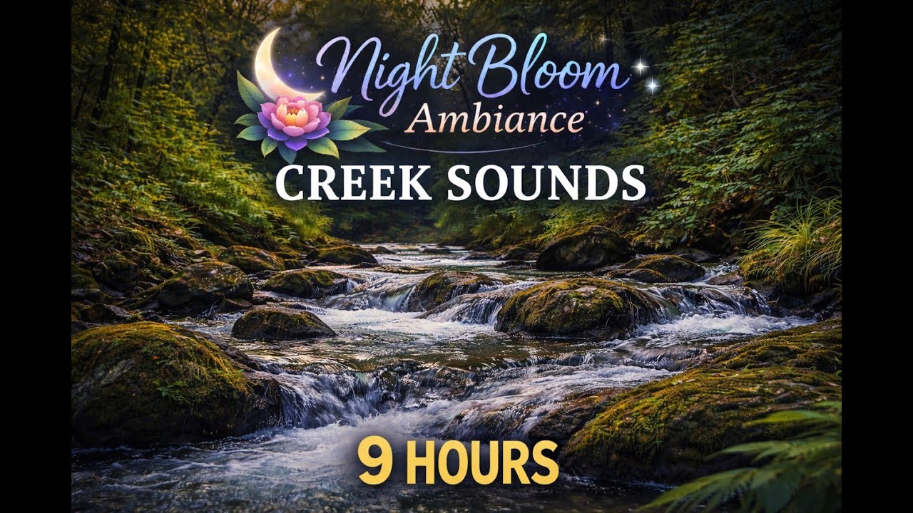 No Ads-Black Screen- Creek Sounds for Sleep (9 Hours) — Calm Stream Ambience | Black Screen