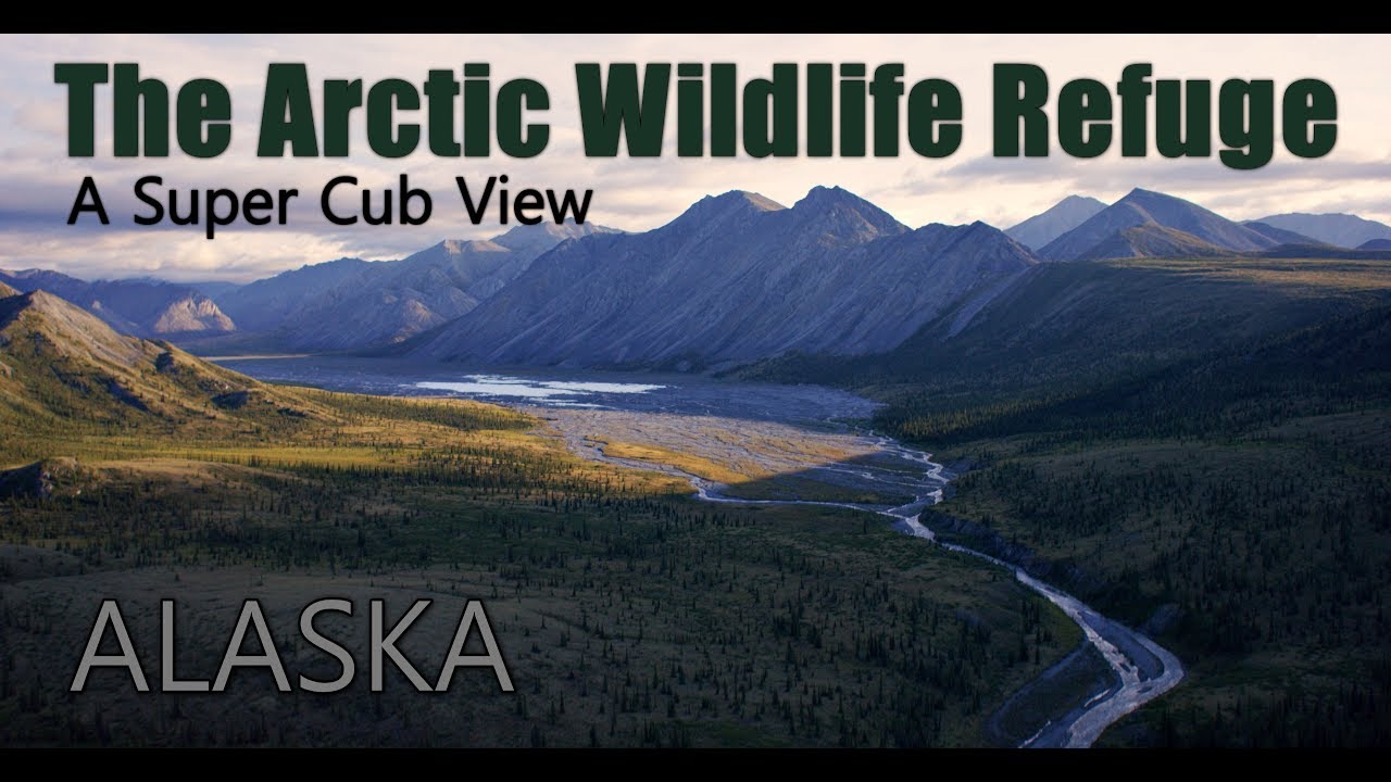 The Alaska Arctic National Wildlife Refuge from a Super Cub.