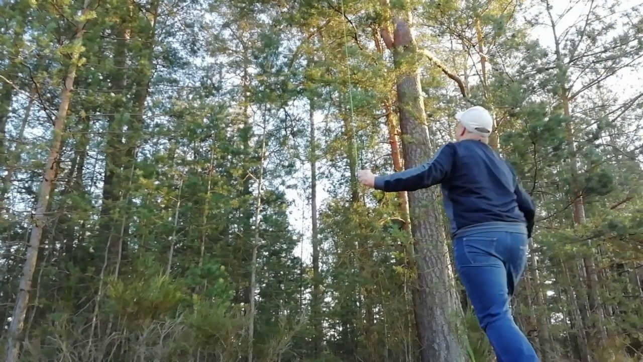 Drone Hängt im 30 Meter hohen Baum was jetzt?