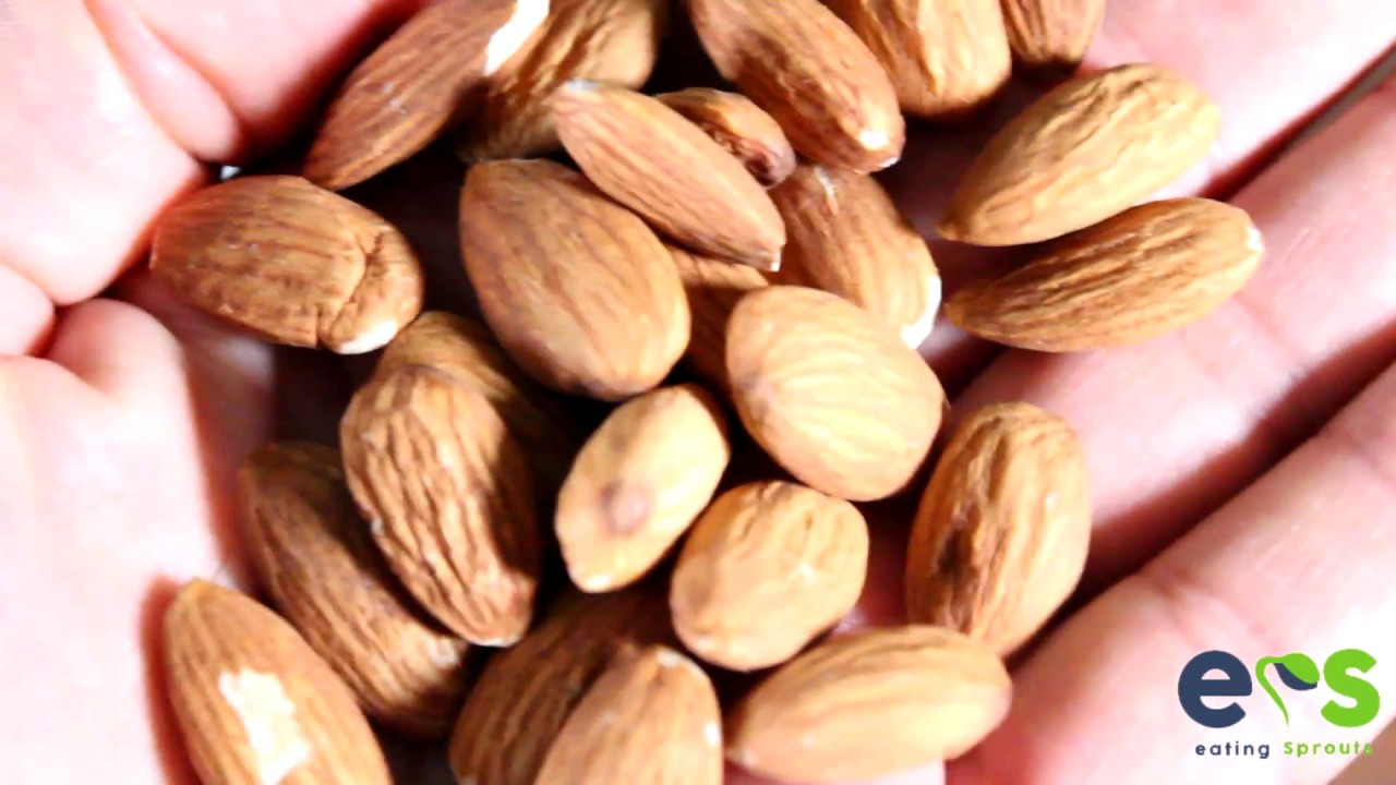 How to make Almond Milk and Almond Cheese at home.