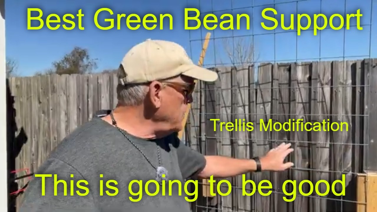 The Green Bean Trellis