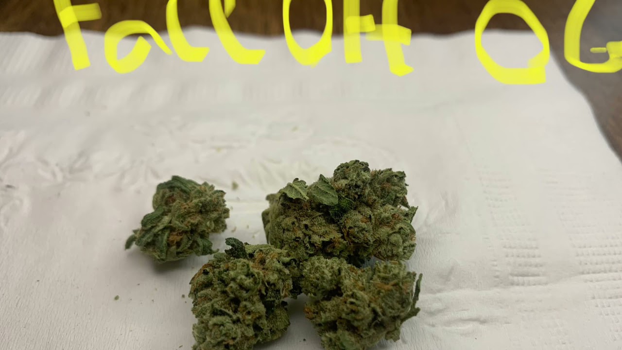 Face Off Og