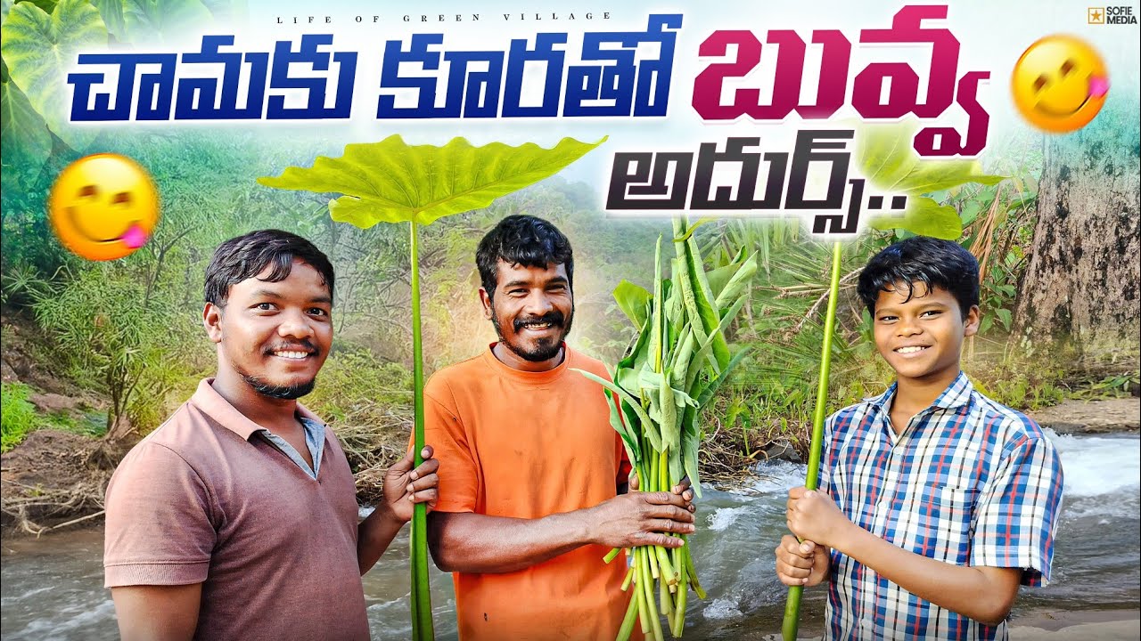 చామకు కూర వంటకం || Life Of Green Village 