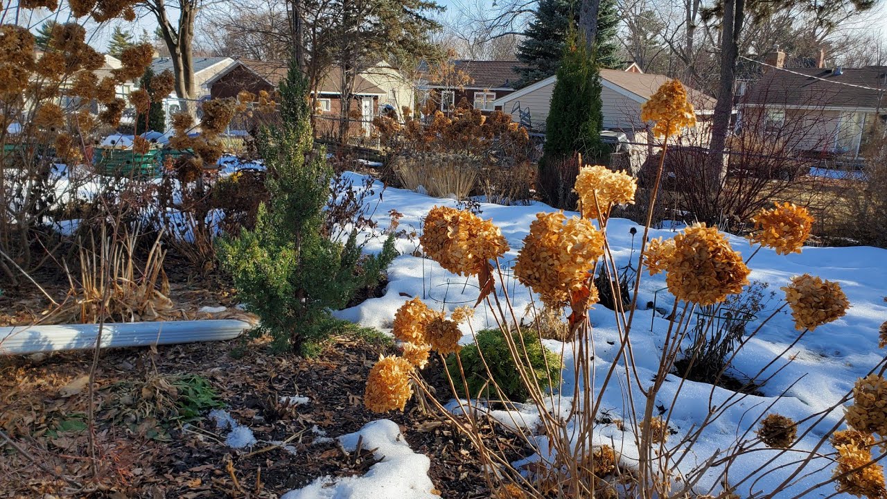 Fake Spring #1, February 