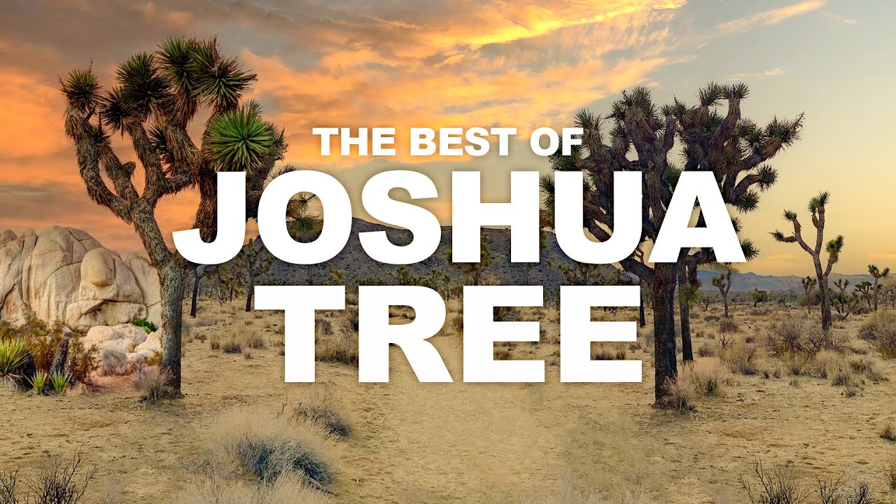 Путеводитель по национальному парку Джошуа-Три | Лучшие маршруты для пеших походов, видео о путеш...