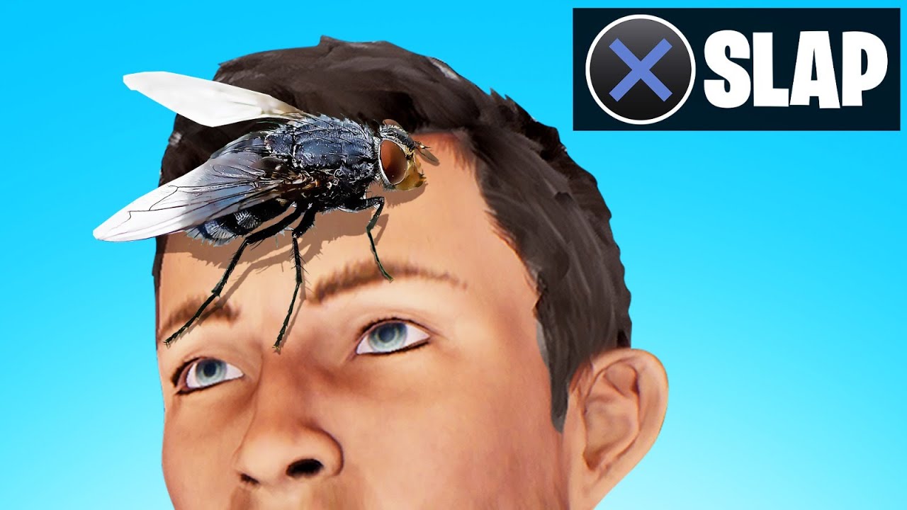 SLAP The FLY On MY FRIENDS FACE! (Funny)
