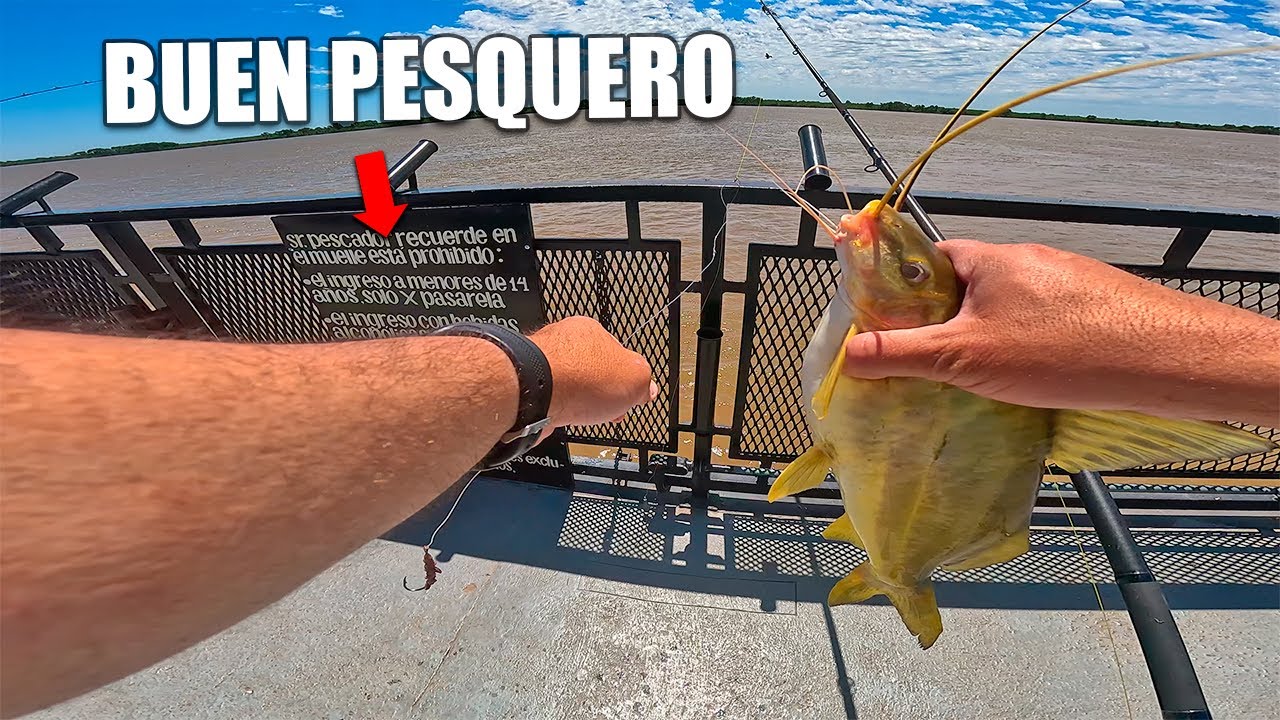 PESCANDO UN DIA COMPLETO EN ESTE CLUB, se me fue un doradaso ☹️ 🎣