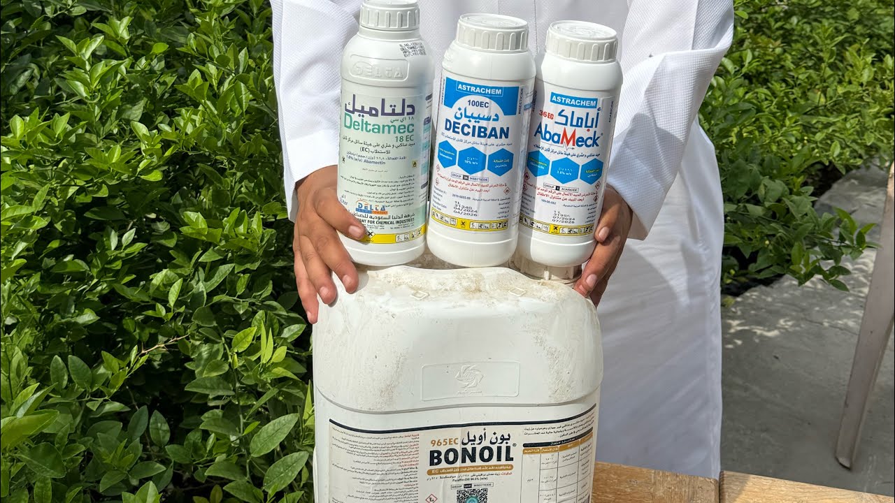 الشرح على المبيدات الحشرية وطريقة غسيل ورش الاشجار