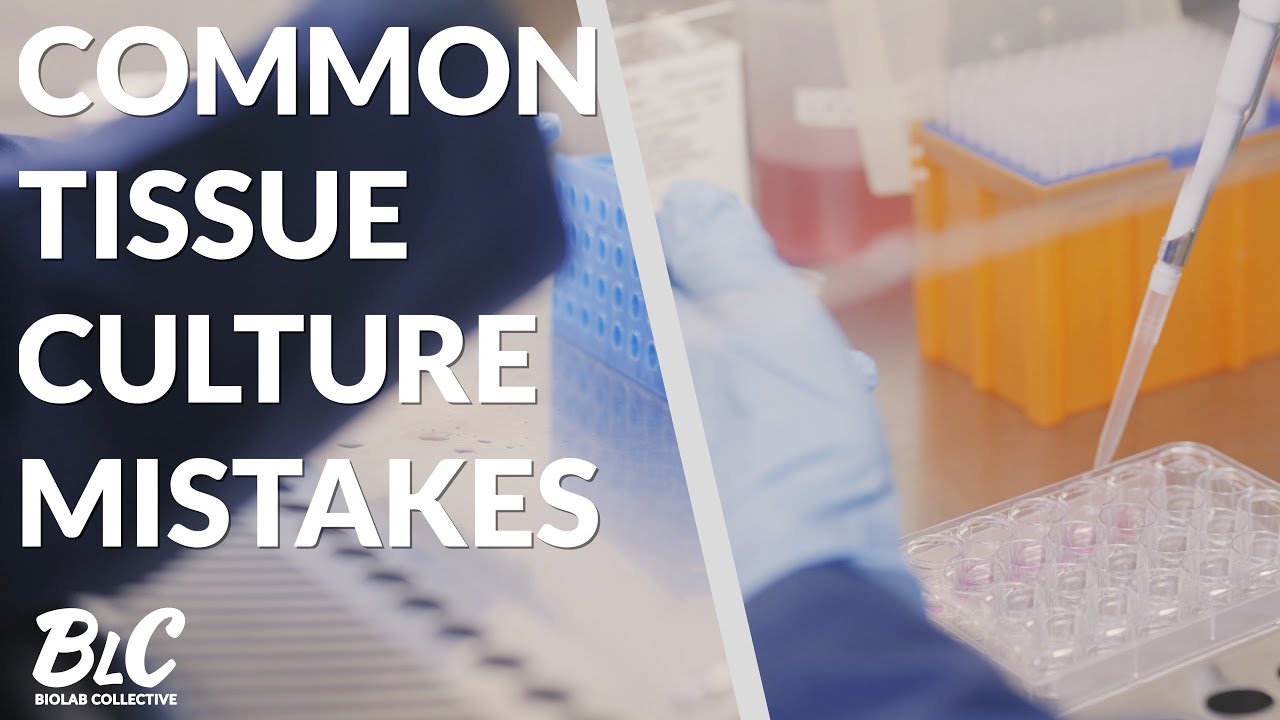 Cell & Tissue Culture [Part 2]: Common Mistakes
