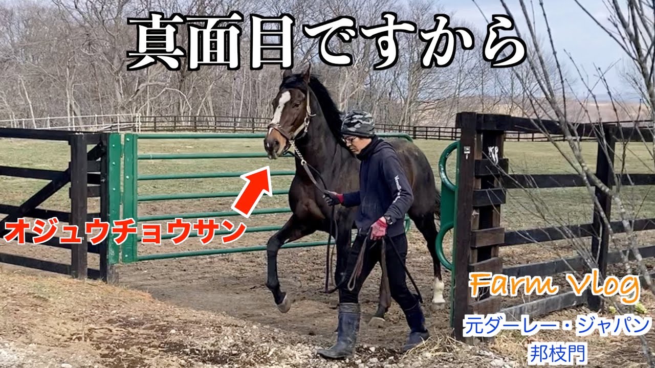 【オジュウチョウサン】真面目ですから！？45選