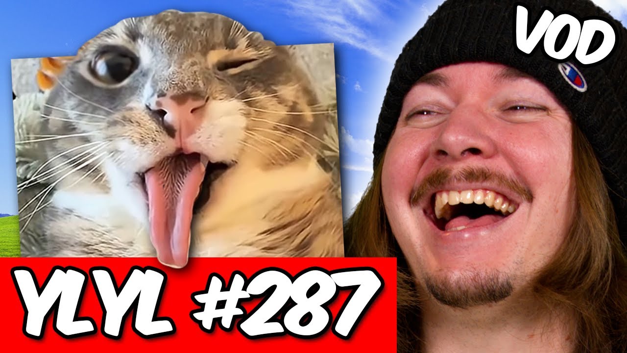 If I Laugh, The Video Ends 287 FULL VOD!